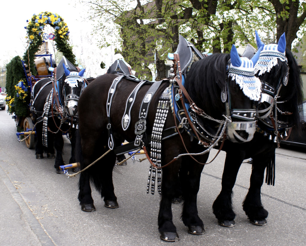 Festzug mit Monika Baumgartner und Georg Heide