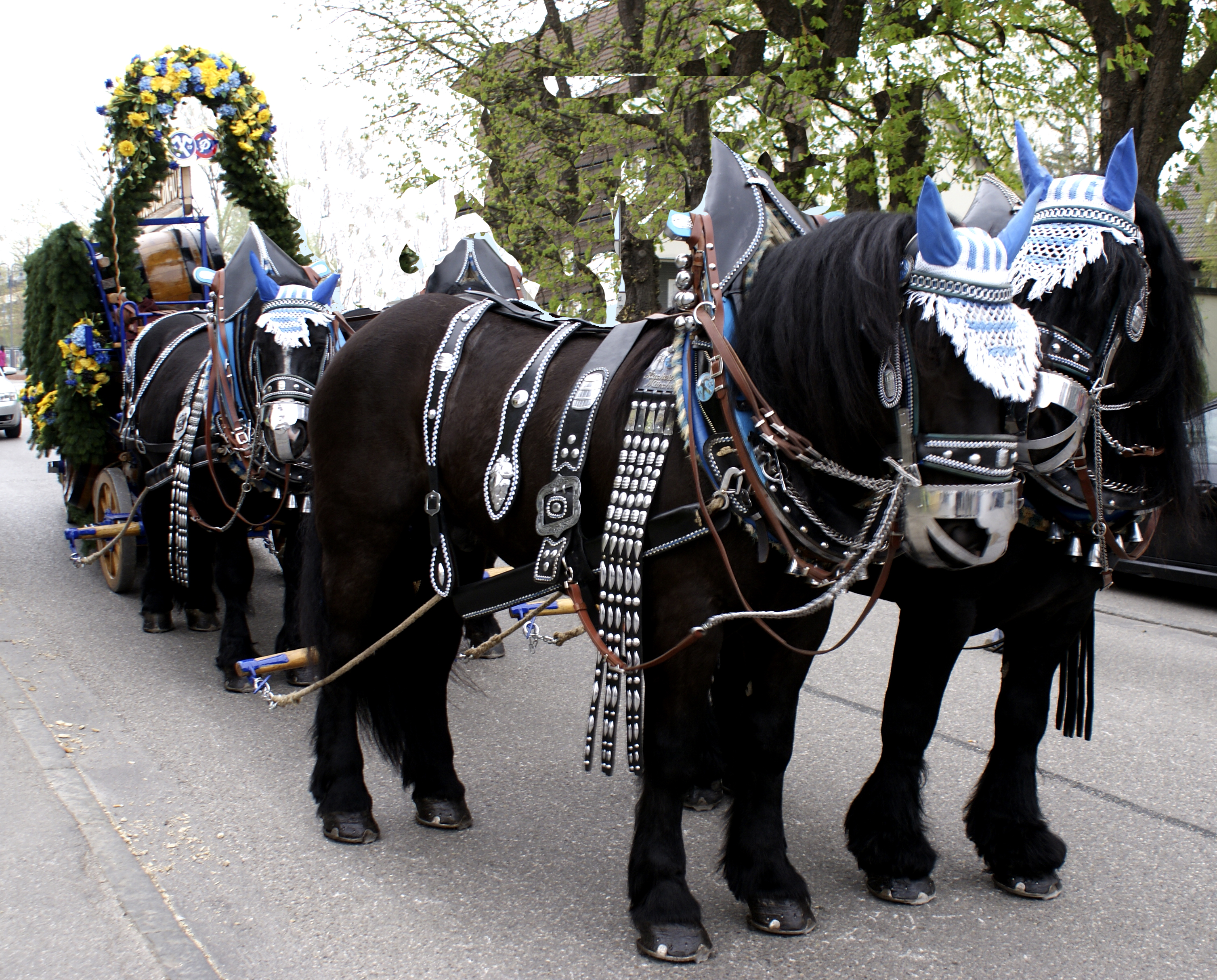 Presse Miniaturansicht