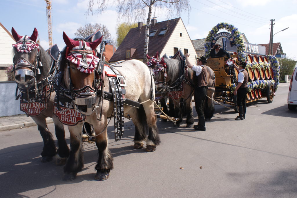 Anmeldungen zum Festzug